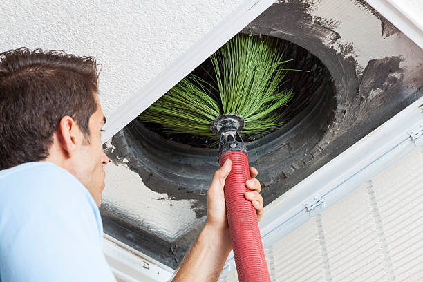 Best Local Air Duct Cleaning Services  in Stafford Courthouse, VA